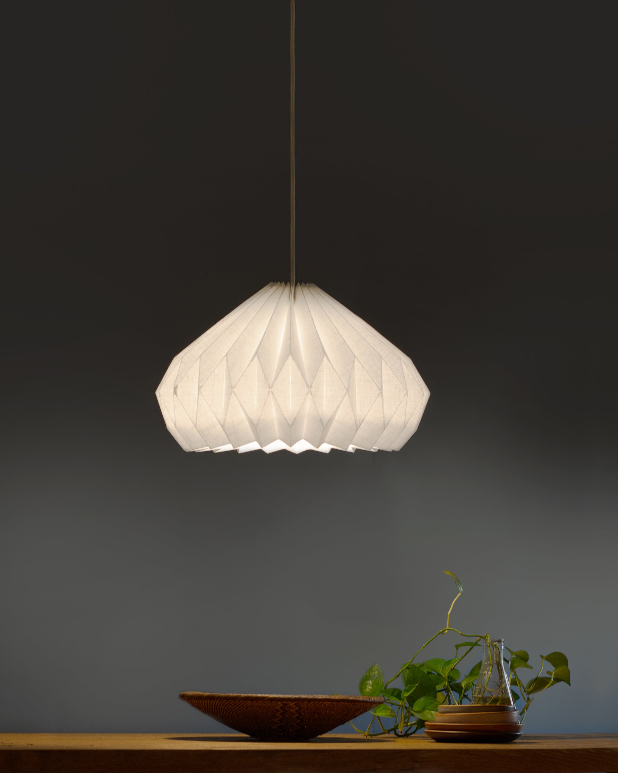 Modern Pendant Lamp – laloupedesign