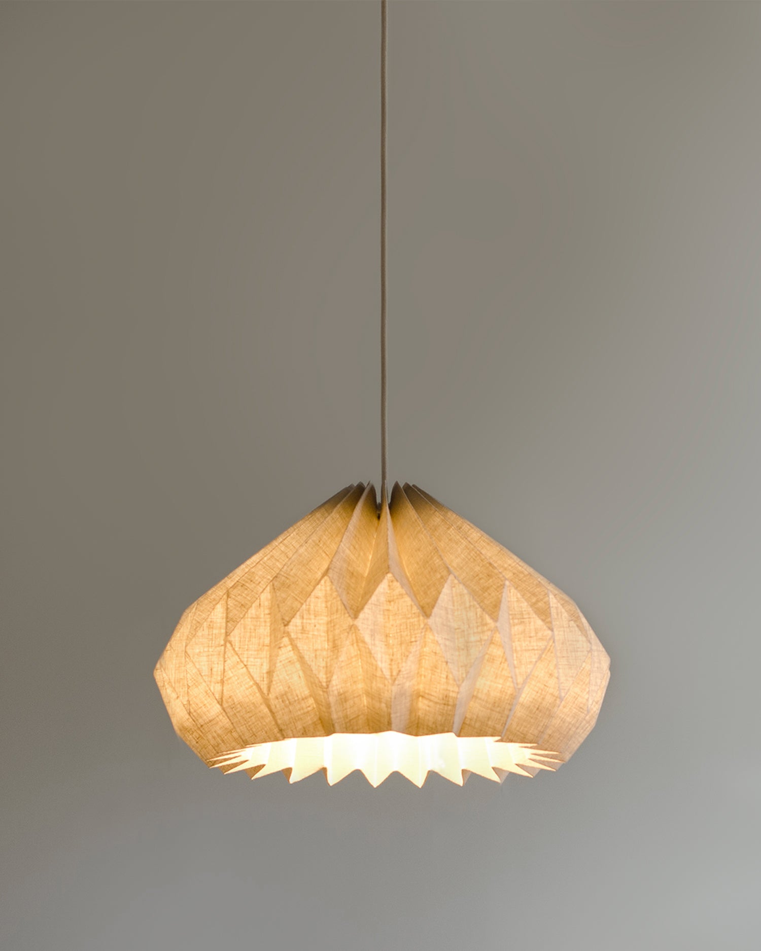 Modern Pendant Lamp – laloupedesign